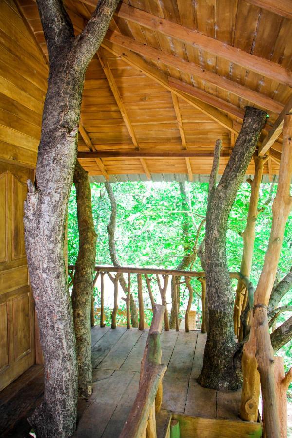 Lotus Eco Villa Sigiriya Exterior foto