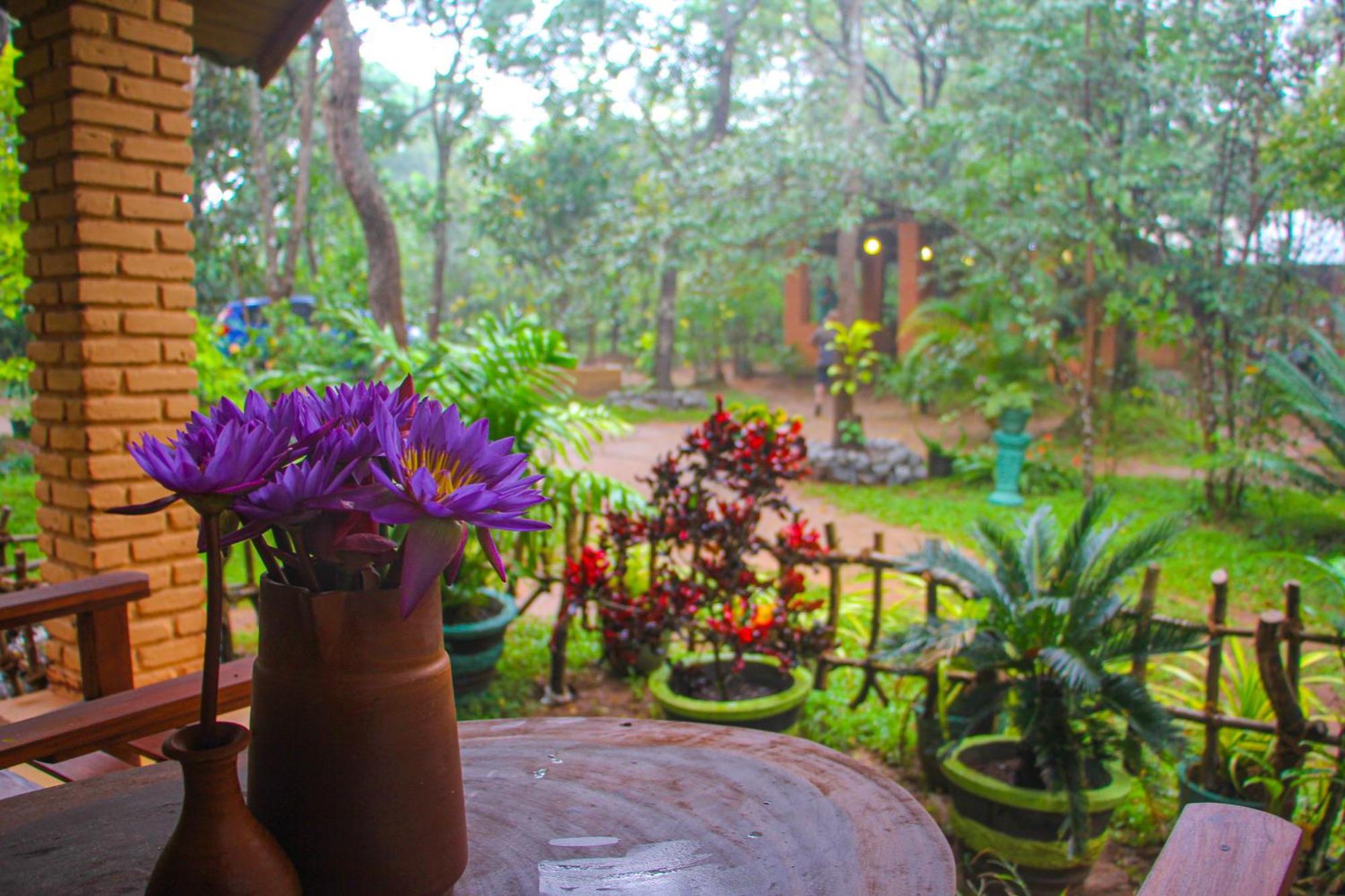 Lotus Eco Villa Sigiriya Exterior foto